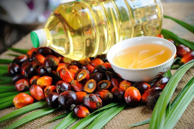 The Wonders of Palm Oil