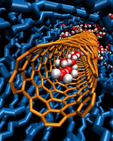 How water loves Nanotubes?