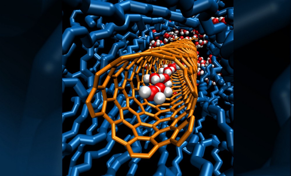 How Water Loves Nanotubes?