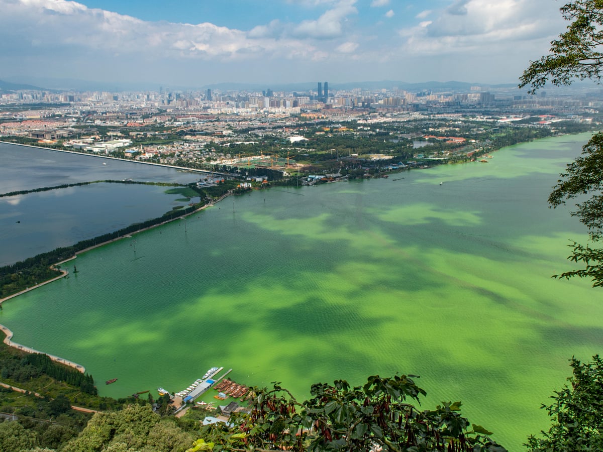 Pollution of Water: Eutrophication